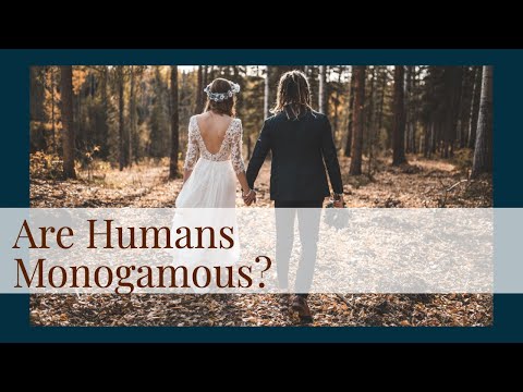 Are Humans Monogamous?