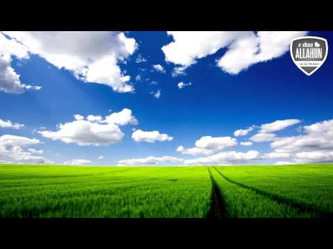 Rruga drejt Allahut - Hoxhë Enis Rama