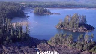 EDDIE VEDDER - INTO THE WILD - (Society)