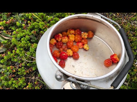 Familjen Friluft - En vecka i fjällen