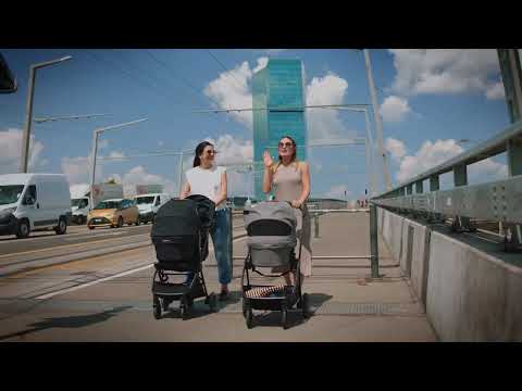 Nuna LYTL Baby Carrycot - Chestnut