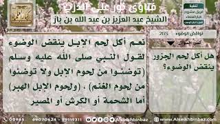 2173 - انتقاض الوضوء بأكل لحم الإبل - نور على الدرب image