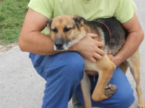 SPAP VILLENA: SUHAILA