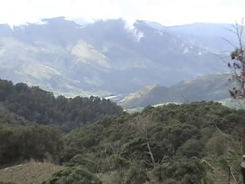 Aldeas del café, Santa Bárbara: La Ciénaga, Santa Cruz Cuchilla, El Carrizal y La Victoria