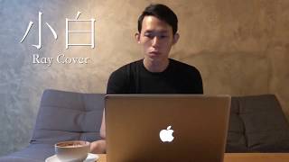 周柏豪 Pakho Chau - 小白 Little White 翻唱 Cover