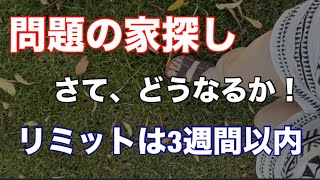 インスペクションとスピード勝負！後は運！！