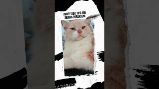 Download lagu Kadang rumah terasa seperti rumah duka, bukan rumah tangga, ketika suami sering bikin nangis. mp3