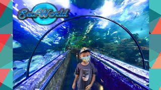 Download lagu Mengenal kehidupan bawah laut | @seaworld ANCOL #PART 1 mp3