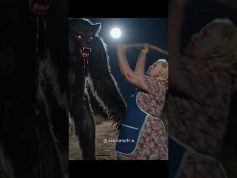 Zefinha Faces Werewolf and Gives a CHORUS: ‘This Is Not No Man’s Land!’ 🐺👊