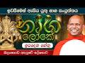 ඉවසීමෙන් ඇසිය යුතු නාග සංයුත්තය නාග ල�