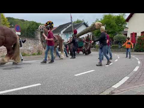 Mei-Den halen Mheer in oktober 2021 (4/9)