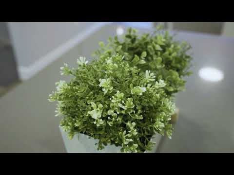 35 20967 76 Ave Langley