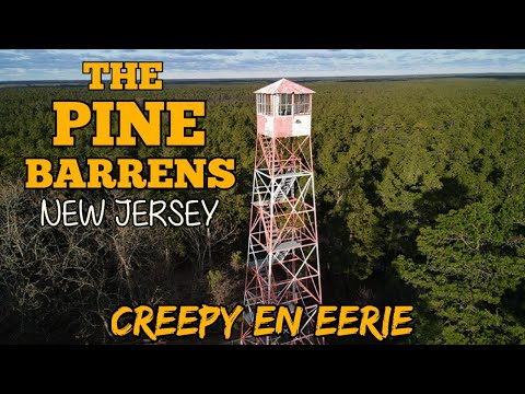 Haunting Stories from the Pine Barrens in New Jersey, US