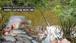 Download lagu Padahal Spot Kecil..tapi Sana-sini Jadi Sarang Ikan Nila mp3 Download lagu Padahal Spot Kecil..tapi Sana-sini Jadi Sarang Ikan Nila mp3