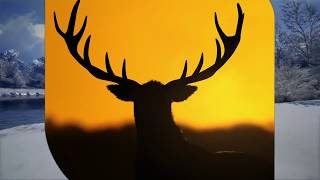 theHunter: Call of the Wild [2019 Edition] (DVD-ROM) video 2