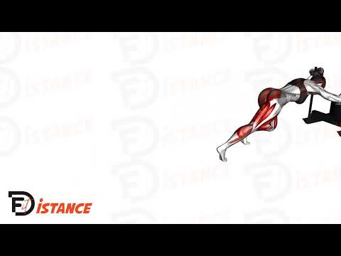 Exercice Poussée de traîneau (sled machine)