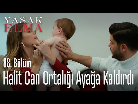 Halit Can ortalığı ayağa kaldırdı - Yasak Elma 88. Bölüm