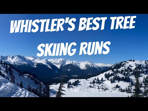 The Best Tree Skiing Runs On Whistler