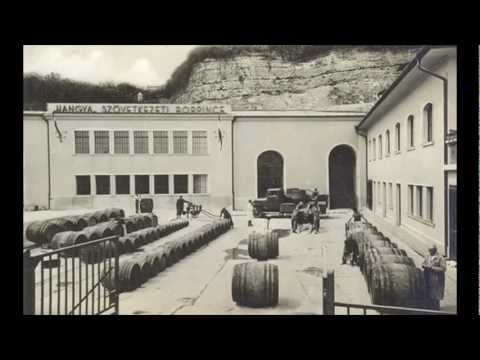 Borváros - Budafok története