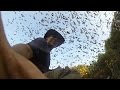 GoPro: One Million Bats