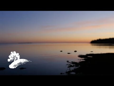 Best of Stephen Kummer - Jazz Piano Performances [Visualizer]