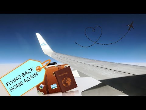 Finally flying home again | Exchange Student in Stockholm