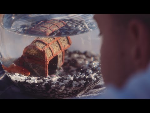 Dylan Dunlap - Follow My Echo (Official Video)