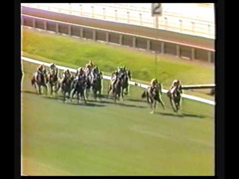1985 WATC West Australian Derby _ Rant And Rave