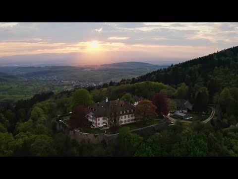 50 Jahre Landkreis Lörrach: Jubiläumsfilm aus einzigartiger Perspektive!