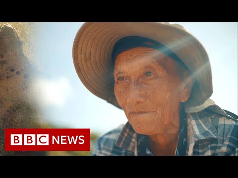 難民餵養一個國家 - BBC新聞 (The refugees feeding a nation - BBC News)