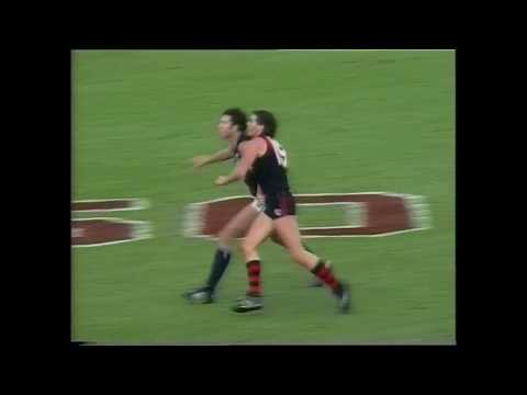 Essendon Highlights - Rd 7 1991 v Carlton