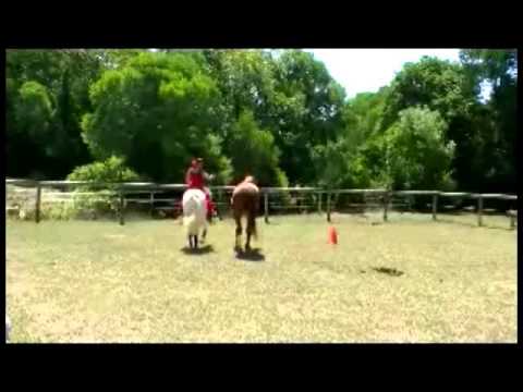 Liberty work with 2 horses Part 2 Liberty work with 2 horses Part 2