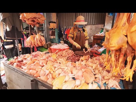 Amazing Cambodia Market Scene - Vendors, Fish, Chicken, Vegetables, Fruits, Seafood & More | Malen
