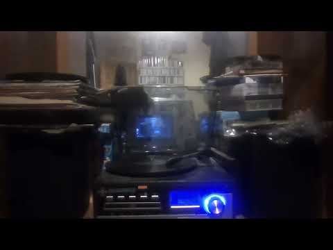 Eugene Damare : "Wren" Polka - Eli Hudson