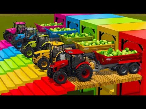 KUBOTA vs VALTRA vs CASE vs FENDT TRACTORS BATTLE WITH CABBAGE - Farming Simulator 25