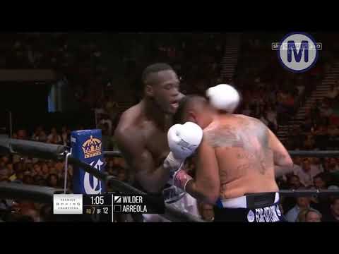 Deontay Wilder vs Chris Arreola Highlights