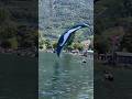 The Coolest Parachute Stunt Ever