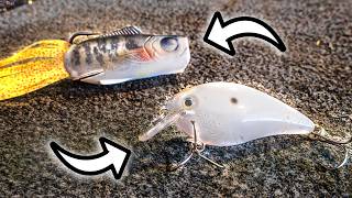 The BEST Lures For May Bass Fishing!
