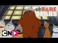 Wat Beren Leren | Koele kip | Cartoon Network