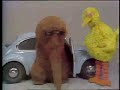 Classic Sesame Street Full Empty Car