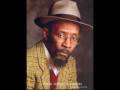 Linton Kwesi Johnson Bass Culture