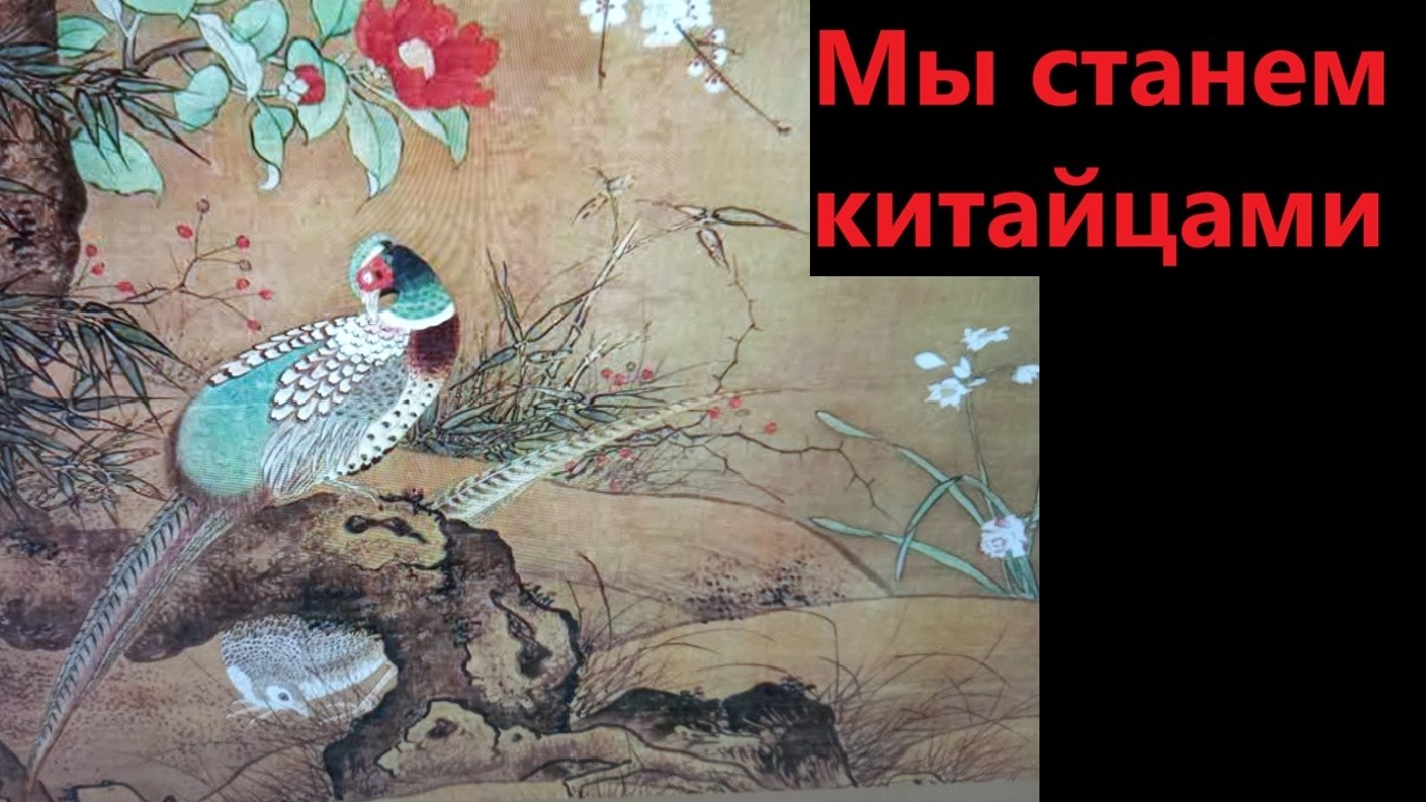 Мы станем китайцами