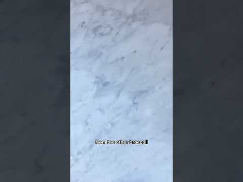 How to make frozen veggies taste good part 2 #shorts