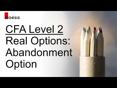image-What is the real options method?