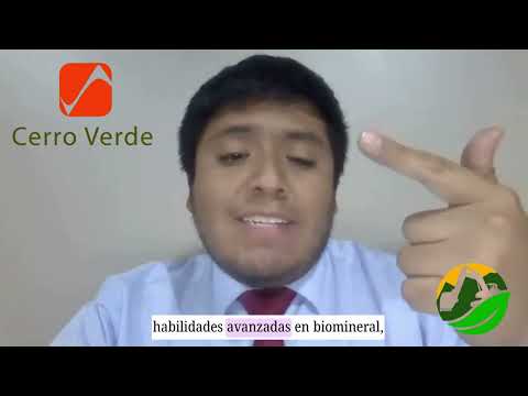 Video Curriculum   Jesus Morales
