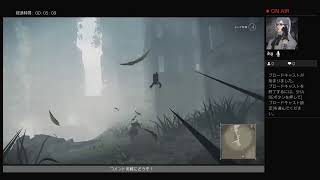 NieR:Automata トロフィーコンプリートを目指して