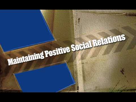 MPSR module MAIN PSRY