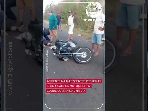 ACIDENTE NA MA-122 ENTRE PEDREIRAS E LIMA CAMPOS MOTOCICLISTA COLIDE COM ANIMAL NA VIA