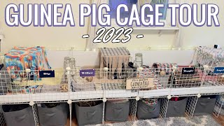 Guinea Pig Cage Tour | 2023