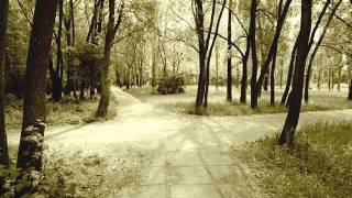 Gurf Morlix - "Crossroads"